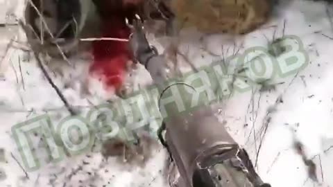 Ukrainian Armed Forces Murdering Russian Prisoners - Ukraine War Combat Footage 2023