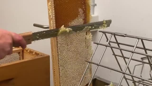 satisfying video