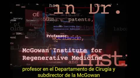 Luciferasa y nanoparticulas biosinteticas magneticas y la carne de cerdo