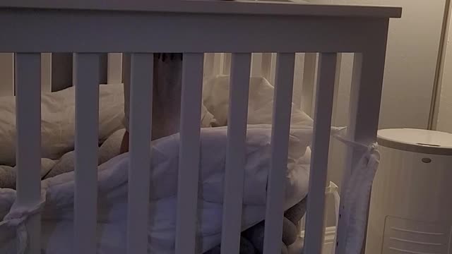 Watch until the end...he doesn't ❤️ me
