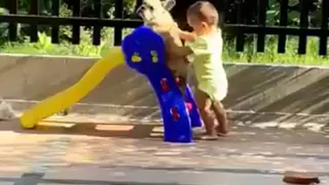 Puppy and baby bonding