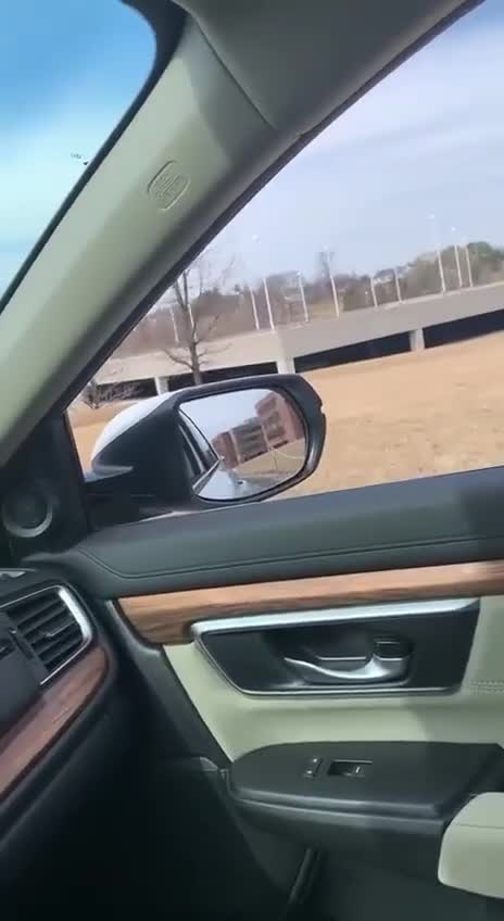 EDIFÍCIO DE P-FIZER VACÍO