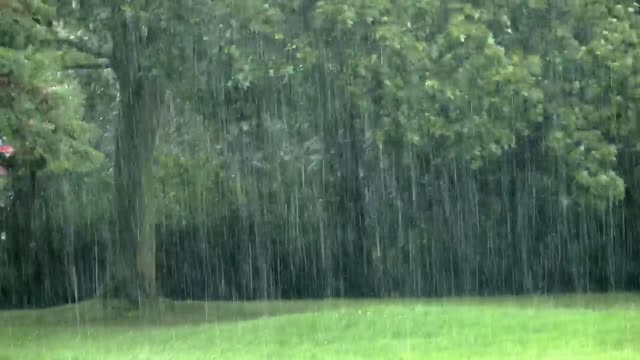 Sleep Fast Relaxing rain sound rain sounds for instant sleep