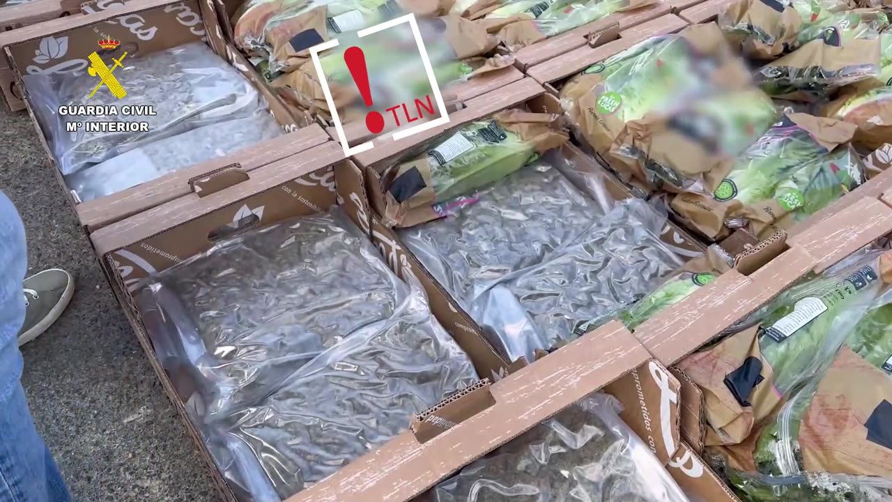 Cinco detenidos en Navarra por transportar marihuana entre lechugas