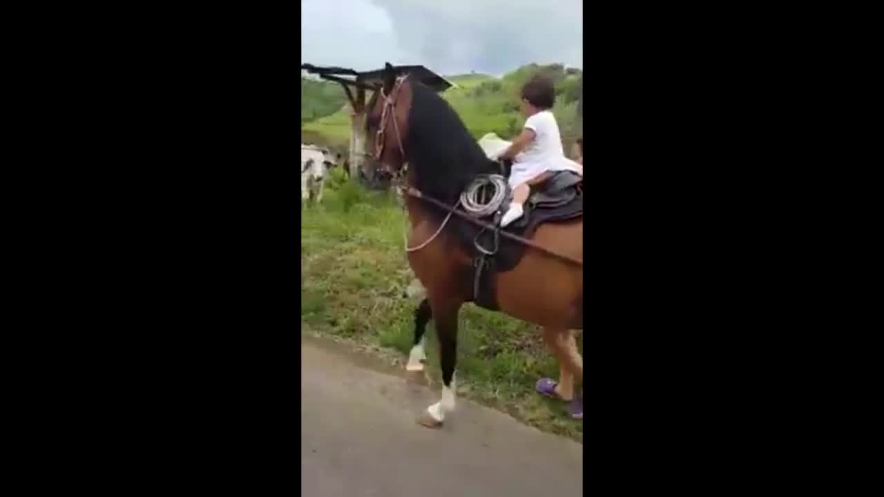 Innovative Little Girl Finds Way Back on Horse #rvsharma0979