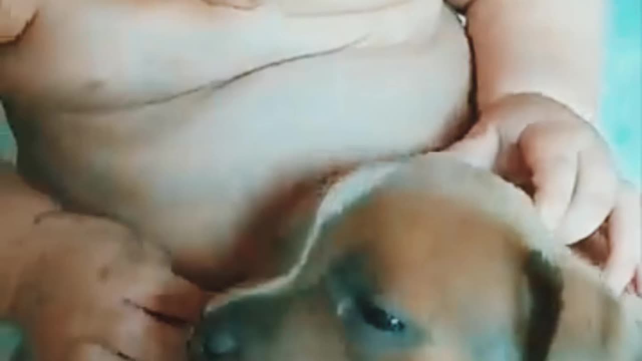 Adorable Baby Touches Sleepy Puppy as It Lays in His Lap