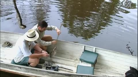 Holding a Red Bellied Piranha | Ultimate Killers | BBC Earth