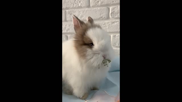 What a hunger !!