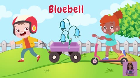 Let's Learn About Flowers Kids Educational Video