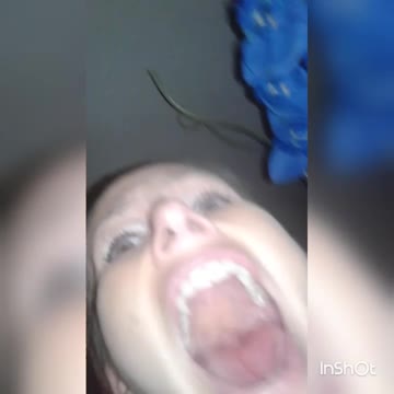 Woman Screams After Snake Falls On Her