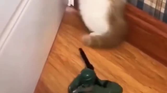 How to Make Your Pets "HAPPY~~~" with few tricks