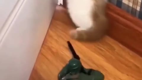 How to Make Your Pets "HAPPY~~~" with few tricks