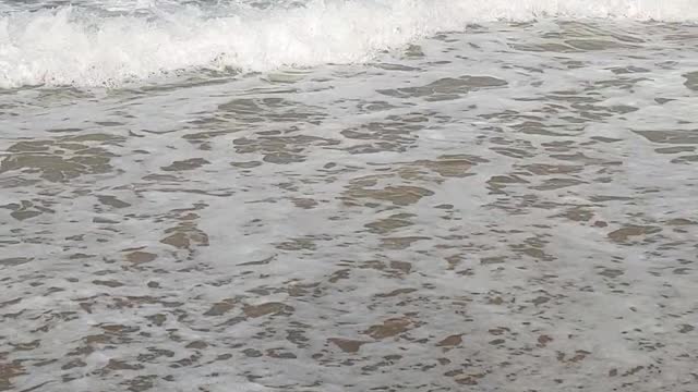 The sound of waves at the winter beach in Korea