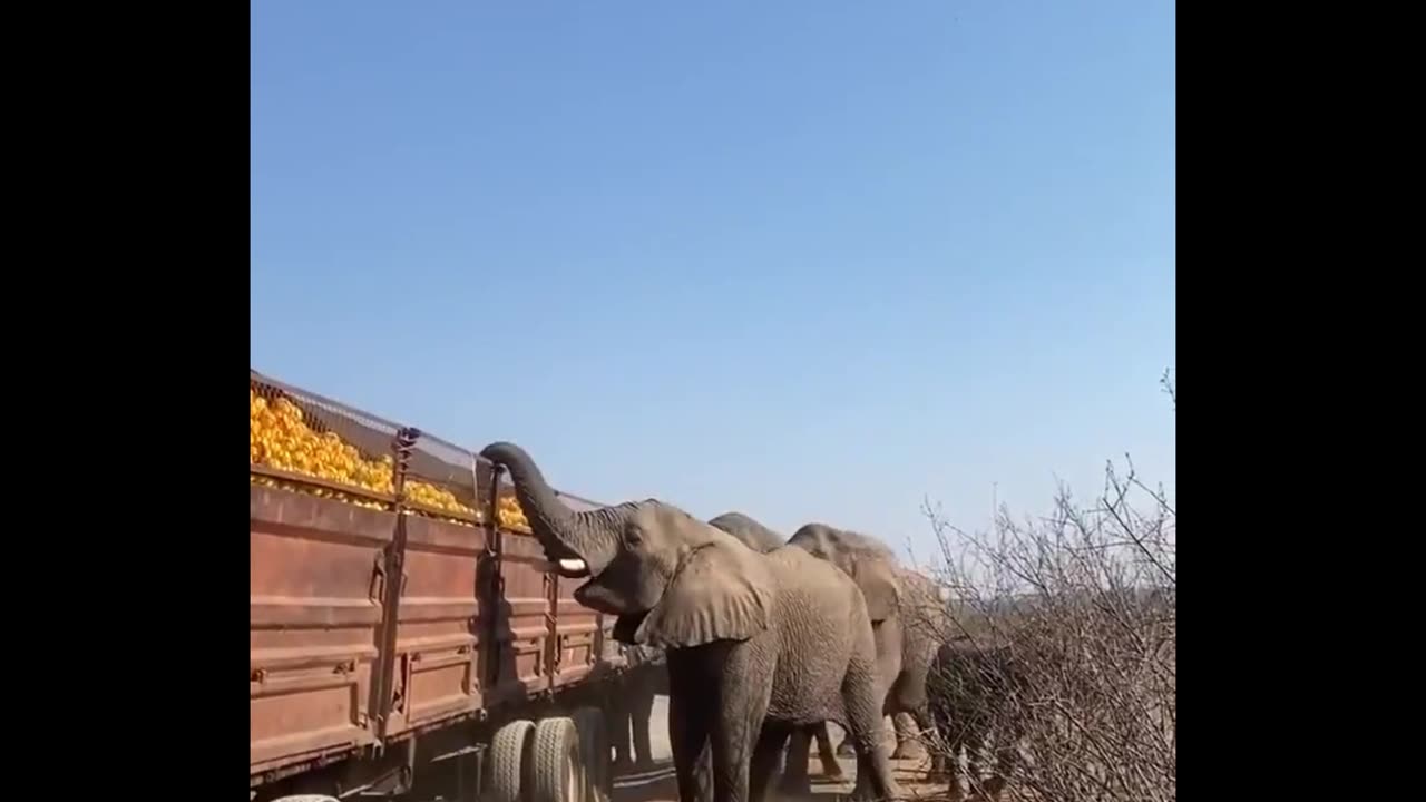 Opportunity comes but once so good on them 🤣