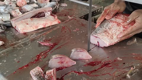 Big Silver Carp Fish Cutting By Machine In Fish Market