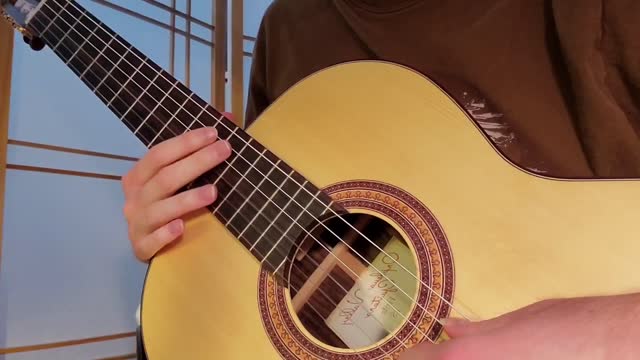 Alex Nitzberg plays his guitar rendition of part of a Beethoven song