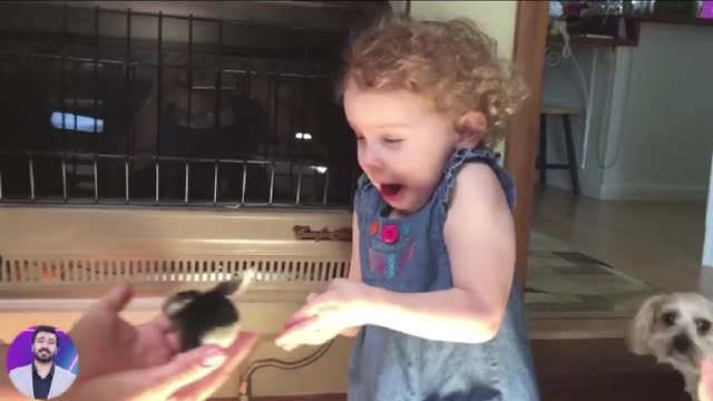 Funny and Cute Baby Funny Baby Reaction When Play with Chicken