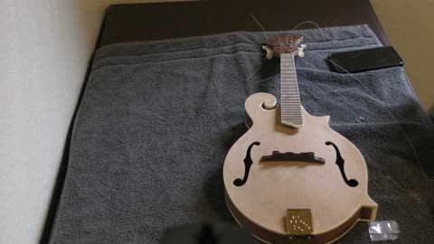 Mandolin Project part 2