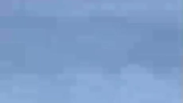 What does this pigeon allow himself