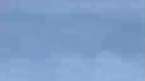 What does this pigeon allow himself