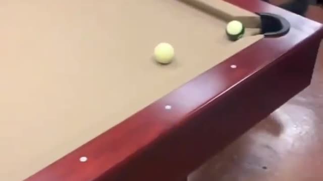 Dog plays pool better than me