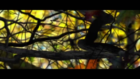 Dolby Atmos: "Leaf" | Trailer 