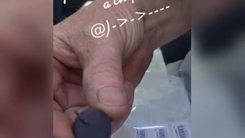 MICROCHIP in the needle