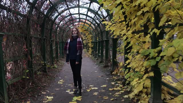 autumn aesthetically beautiful girl