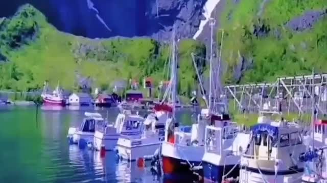 fascinated by this beautiful scenery