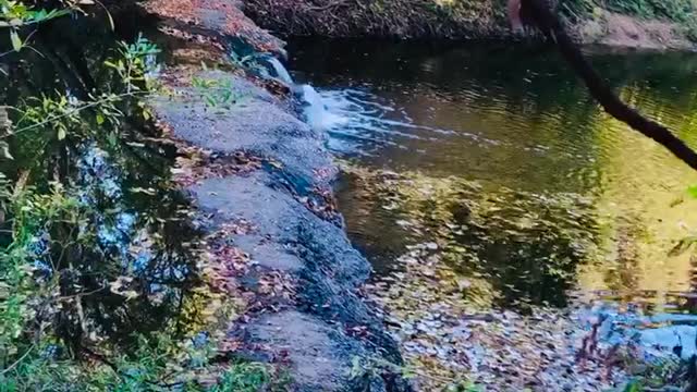 Fall in Texas🍁🍂🥀 Waterfalls😍
