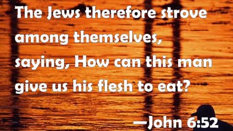 Pentecost 12 2021 (John 6#4) Worship