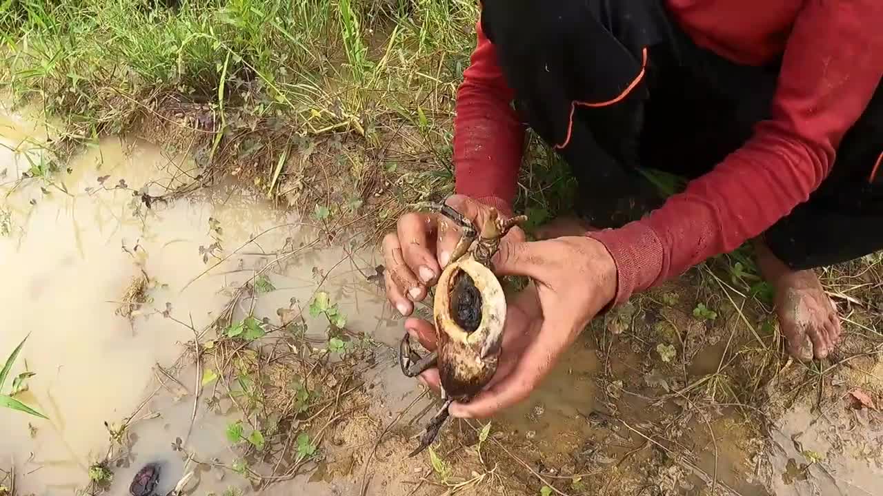 amazing fishing! a fisherman skill catch fish and crabs a lots by best hand in field-11