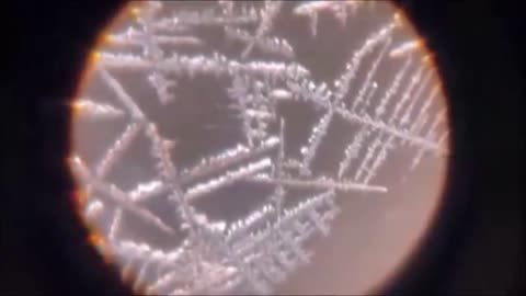 폴란드의 프랑크 잘레브스키 박사가 화이자 코비드 백신 속에서 발견한 “그 물체”- 알루미늄 기반의 생명체