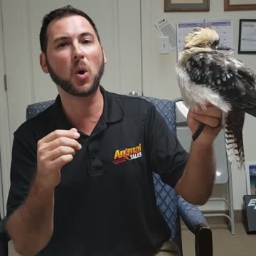 John Ham- the Faces of Pensacola