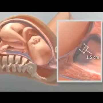 Delivery 3D best animation