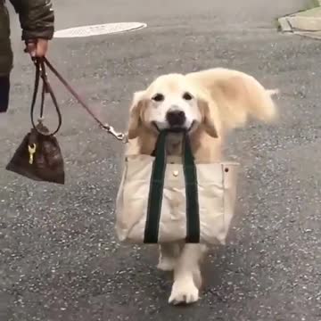 When you are happy to help