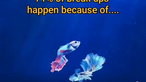 Amazing Relationship Fact You Never Knew | relationship facts