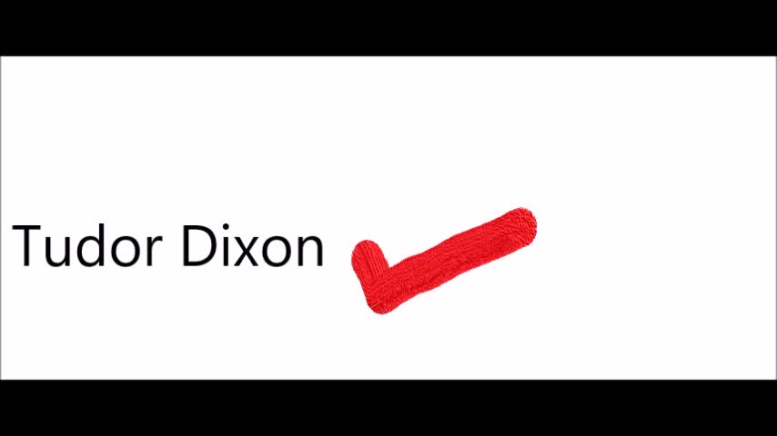 Tudor Dixon Wins