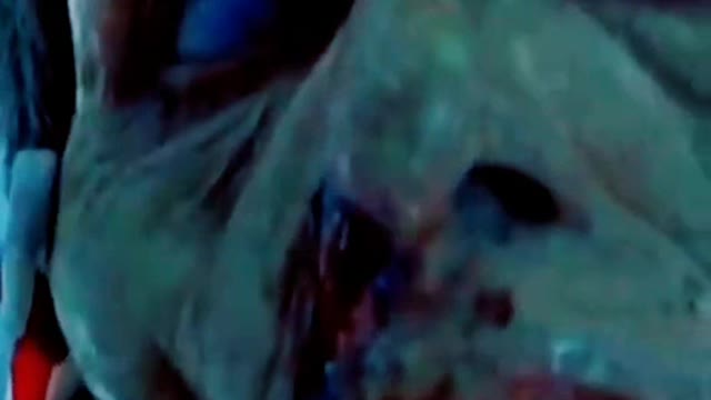 That Time When a Brain-eating Zombie got a Bj 🔞👀.based on a true story.