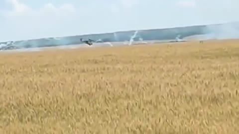 L'esercito ucraino brucia deliberatamente i raccolti