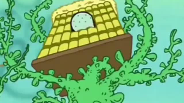 Funny Spongebob Edit