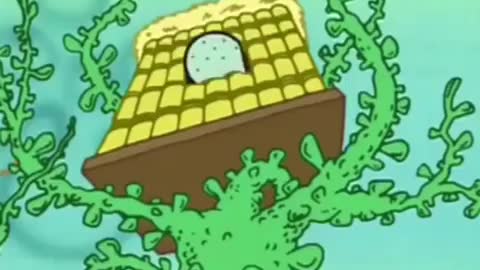 Funny Spongebob Edit