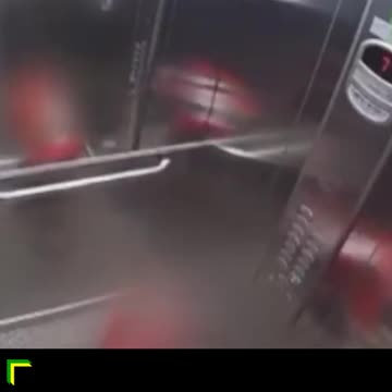 Criança pula no teto de elevador para salvar cadela com coleira presa