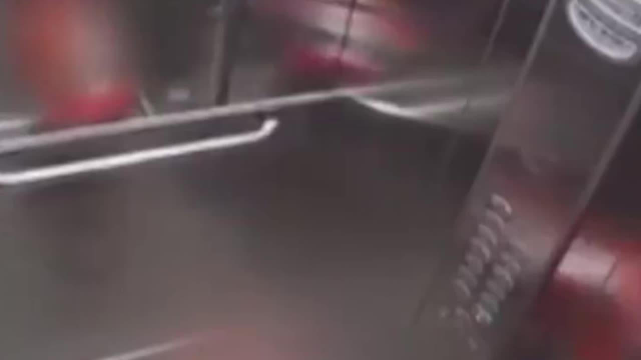 Criança pula no teto de elevador para salvar cadela com coleira presa