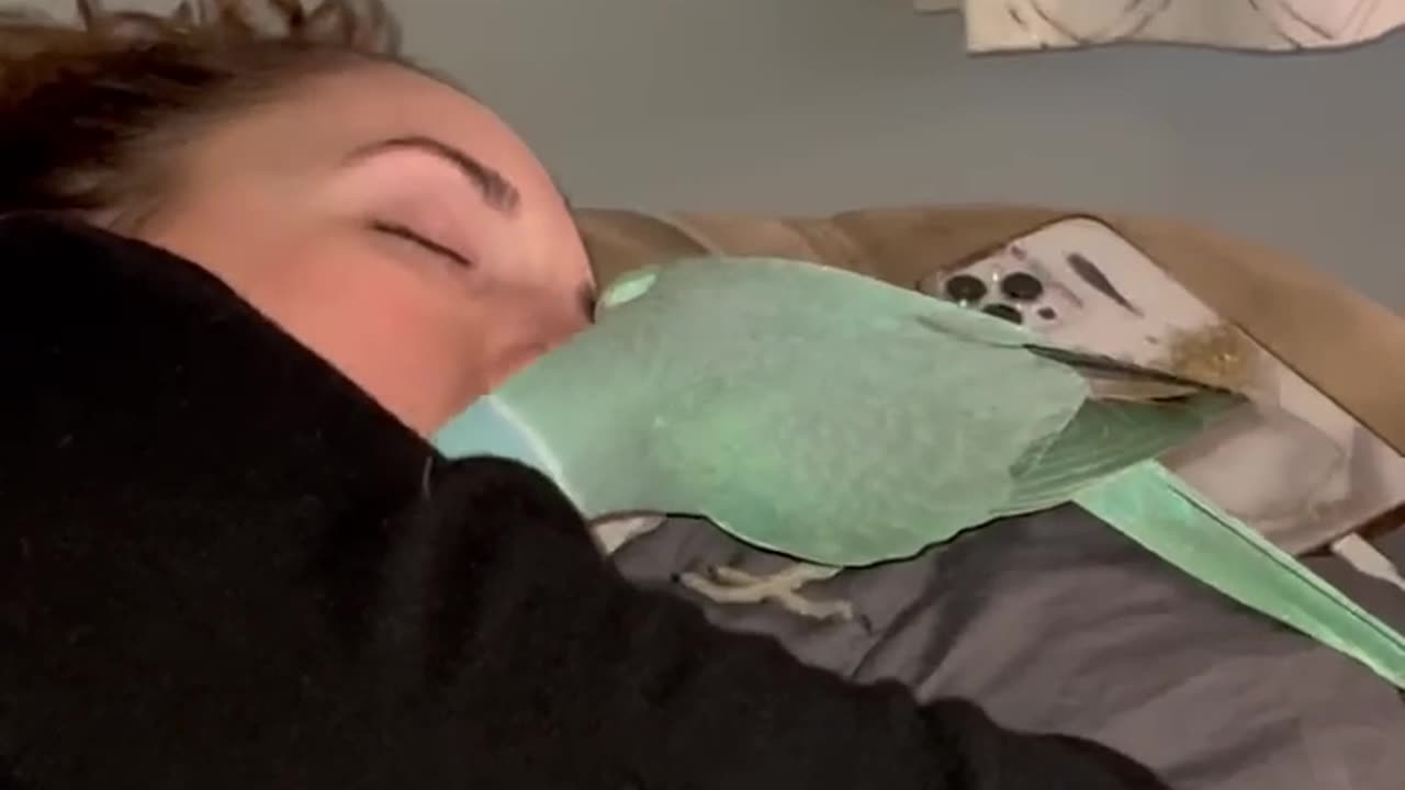 Poor Chicken Thought I Was Ignoring Him🥺