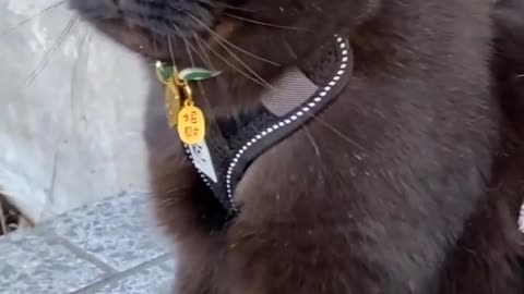 Black is such a HAPPY colour!