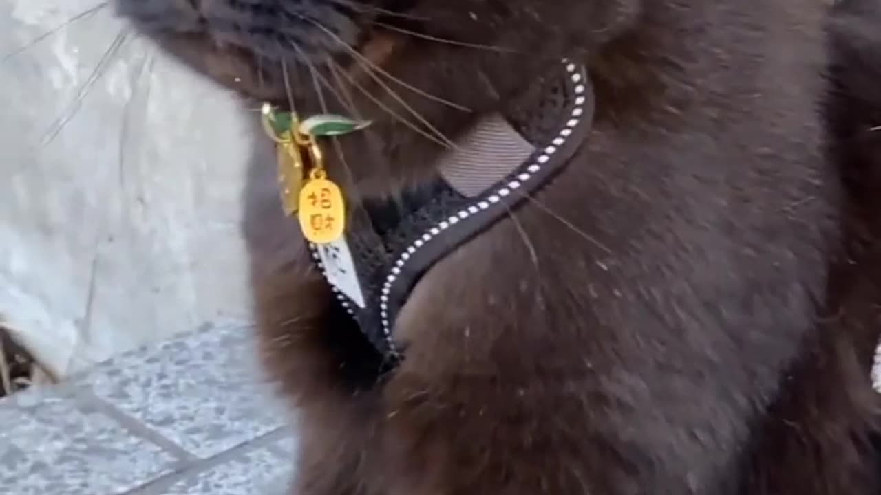 Black is such a HAPPY colour!