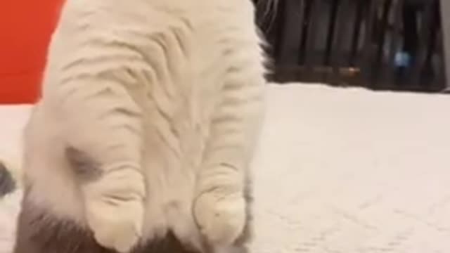 so cute .!