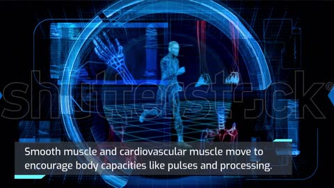 Skeletal muscle is most opinionated as muscle