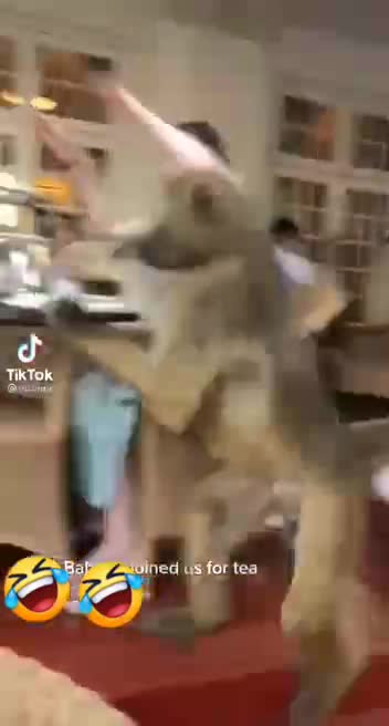 Dammmmm Mitt Romney trying to stay relevant